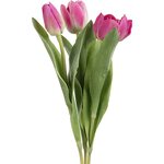 Mr. Plant tulppaani, kolmen sarja ピンク