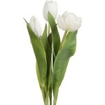 Mr. Plant tulppaani, kolmen sarja 白