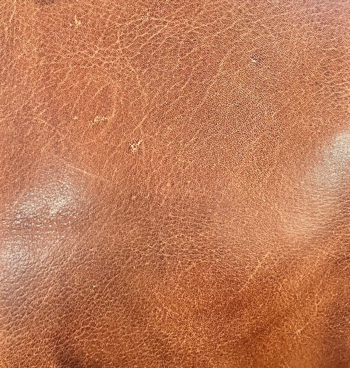 Nahkainen kännykkälaukku kullanvärisellä logolla, neljä väriä Konjakki