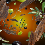 Maison Berger oliivipuun alla puhdistusneste 500 ml