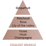 Maison Berger exquisite sparkle - shampanja puhdistusneste 500 ml