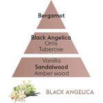 Maison Berger huonetuoksun täyttöpullo Black Angelica