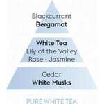 Maison Berger puhdas Valkoinen tee puhdistusneste 500 ml