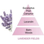 Maison Berger huonetuoksu tikuilla, Lavendel