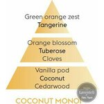 Maison Berger kookos-monoi puhdistusneste 500 ml