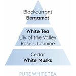 Maison Berger huonetuoksu puhdas White tea