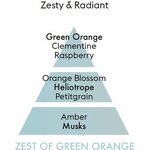 Maison Berger zest of green orange puhdistusneste 500 ml