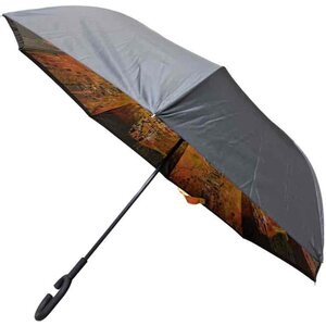 Sateenvarjo Klimt taidekuvalla
