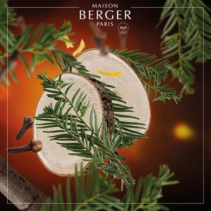 Maison Berger huonetuoksu Virginia Cedarwood