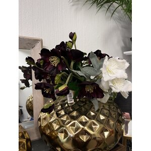 Mr. Plant tumma burgundy jouluruusu