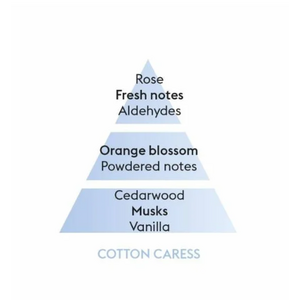 Maison Berger autoraikastimen täyttöpakkaus puuvilla - cotton