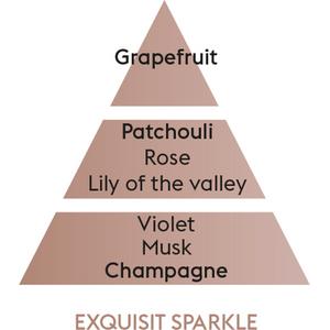 Maison Berger exquisite sparkle - shampanja puhdistusneste liter
