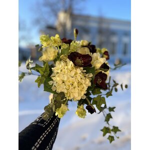 Mr. Plant Valkoinen hortensia
