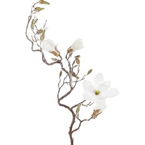 Mr. Plant Magnolian oksa, jääkiteitä, 140 cm