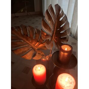 Mr. Plant Kuparinvärinen peikonlehti