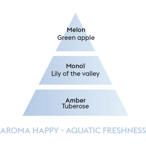 Maison Berger aroma Happy puhdistusneste 1000 ml