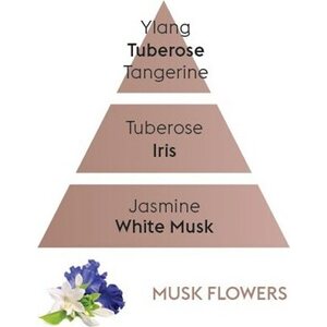 Maison Berger kullanvärinen autoraikastin Senso