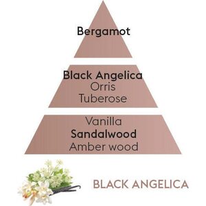 Maison Berger huonetuoksu tikuilla Black Angelica