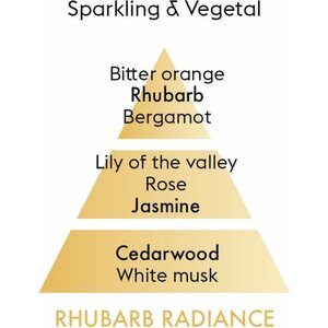 Maison Berger huonetuoksun täyttöpullo Rhubarb radiance - raparperi