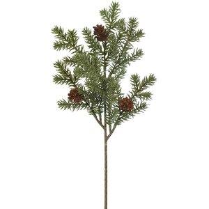 Mr. Plant kuusen havuoksa