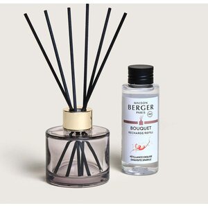 Maison Berger Rosalie huonetuoksukimppu ja spray lahjapakkaus