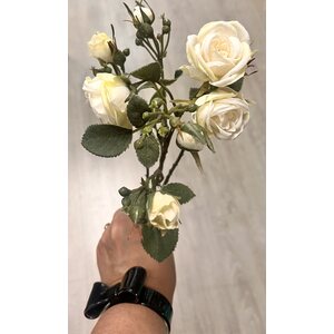 Mr. Plant valkoinen ruusu, 8 kukkaa ja nuppua