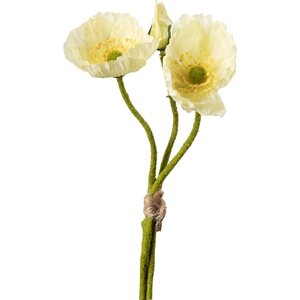 Mr. Plant Vaaleankeltainen unikko, kaksi kukkaa ja nuppu