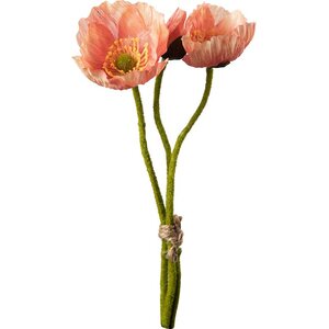 Mr. Plant vaaleanpunainen unikko, kaksi kukkaa ja nuppu