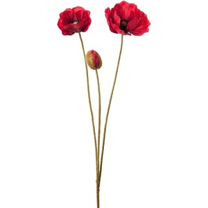 Mr. Plant piros hosszú unikko, kaksi kukkaa ja nuppu