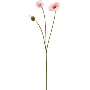 Mr. Plant rosa largo unikko kimppu, kaksi kukkaa ja nuppu