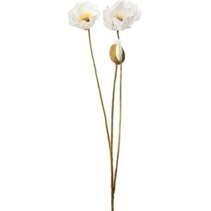 Mr. Plant valkoinen pitkä unikko kimppu, kaksi kukkaa ja nuppu