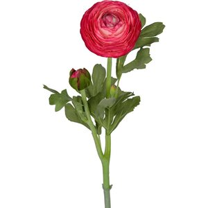 Mr. Plant Eucalyptus branch with berries