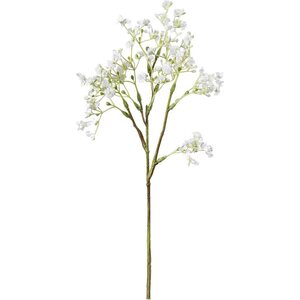 Mr. Plant valkoinen morsiushuntu kestokukka