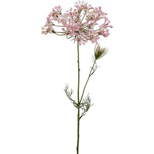 Mr. Plant vaaleanpunainen koiranputki, 70 cm