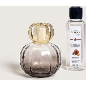 Maison Berger ilmanpuhdistuslamppu Coralia, gris