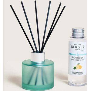 Maison Berger Kesän juhlat mini tuoksukimppu Zest of Verbena - sitruksinen