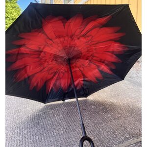 Rot gerbera sateenvarjo