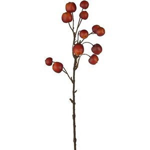 Mr. Plant koristeomenan oksa, 40 cm