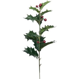 Mr. Plant Orjanlaakeri oksa 48 cm