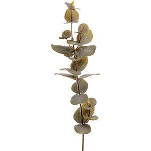 Mr. Plant vihreä eucalyptus oksa