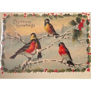 Sköna ting pieni joulukortti lintujen kuvilla
