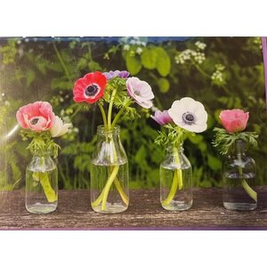 Sköna ting postikortti anemone kukkia pulloissa