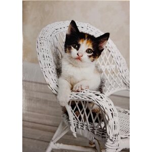 Sköna ting onnittelukortti suloisen tuolilla istuvan kissan kuvalla