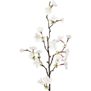 Mr. Plant Valkoinen kirsikankukka oksa