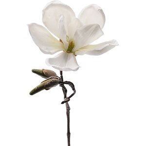 Mr. Plant Valkoinen magnolia oksa