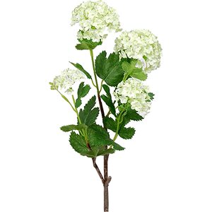 Mr. Plant Valkoinen heisi, kukkaoksa