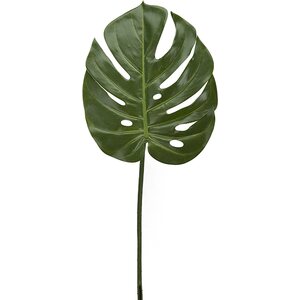 Mr. Plant Peikonlehti, halkaisija 22 cm