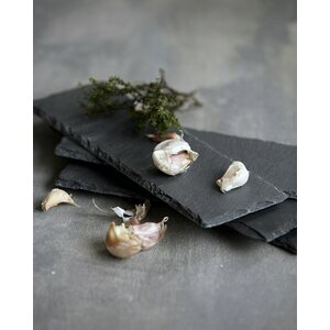 Nicolas Vahé rectangular slate dish