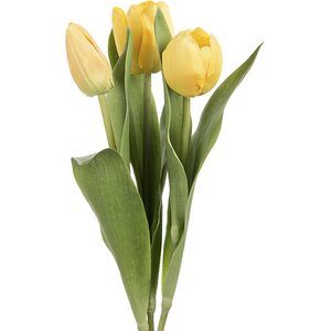 Mr. Plant tulppaani, kolmen sarja