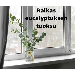 Ecological Euca hoitava käsidesi